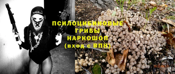 МДПВ Карпинск