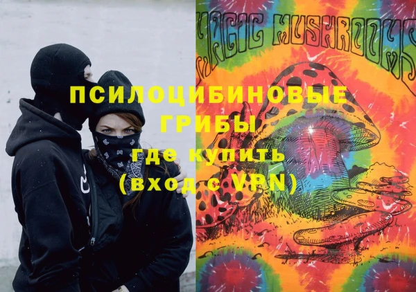 метадон Каменка