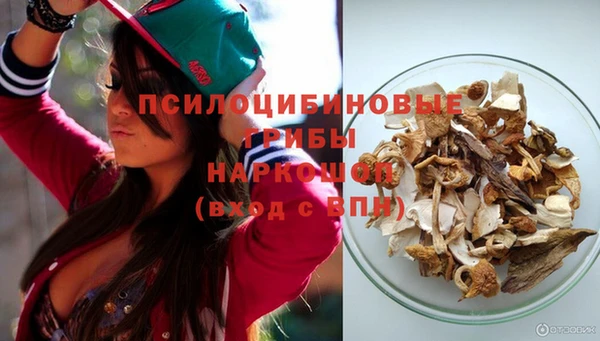 таблы Каменногорск