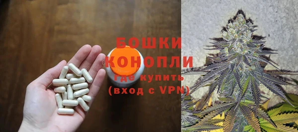 МДПВ Карпинск