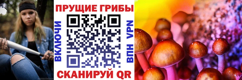 Псилоцибиновые грибы GOLDEN TEACHER блэк спрут Мышкин