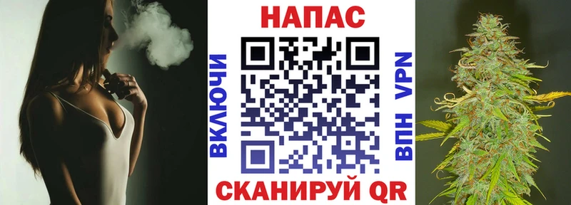 Бошки Шишки конопля  Мышкин 